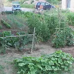 La Della Campanara Bed & Breakfast