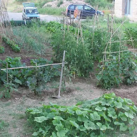 La Della Campanara Bed & Breakfast